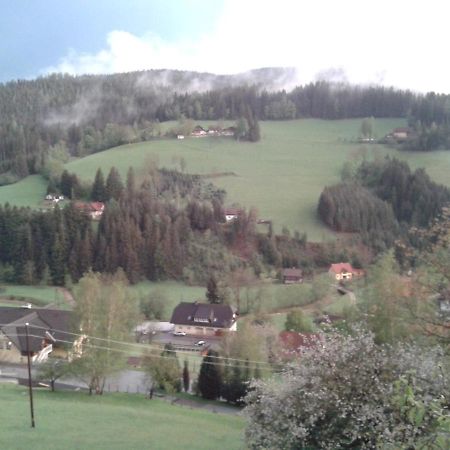 Апартаменты Haus Koenigshofer Санкт-Катрайн-ам-Хауэнштайн Экстерьер фото