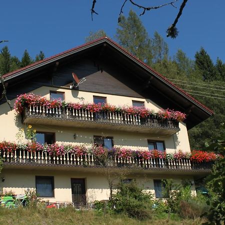 Апартаменты Haus Koenigshofer Санкт-Катрайн-ам-Хауэнштайн Экстерьер фото