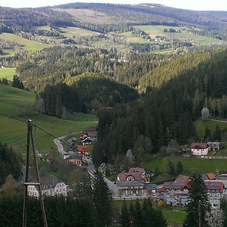 Апартаменты Haus Koenigshofer Санкт-Катрайн-ам-Хауэнштайн Экстерьер фото