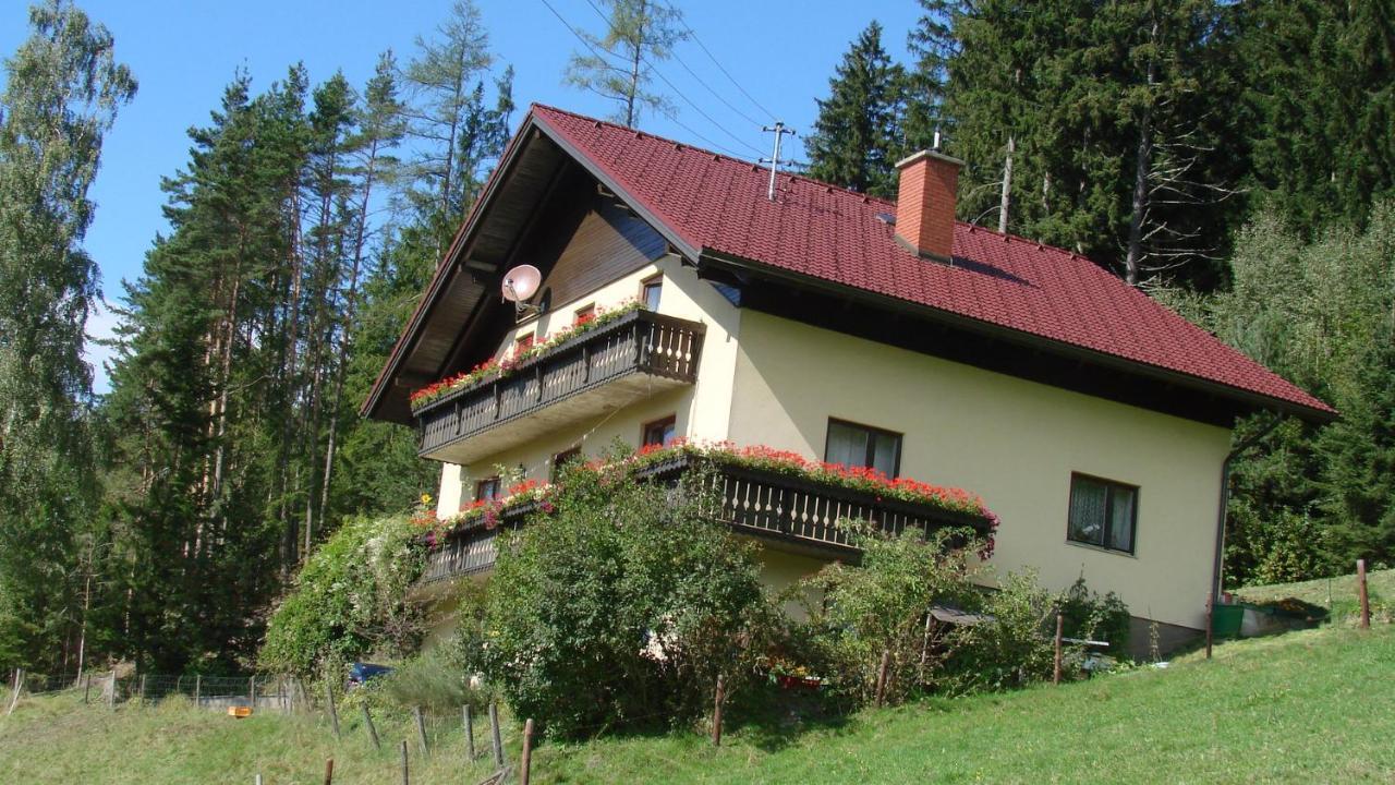 Апартаменты Haus Koenigshofer Санкт-Катрайн-ам-Хауэнштайн Экстерьер фото